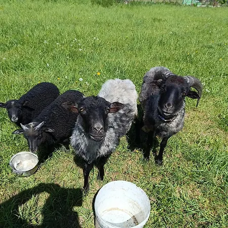 Çiftlik konaklama Na Mazurach *