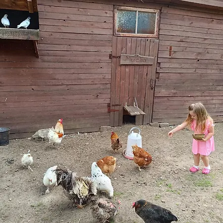 Farmház Na Mazurach *