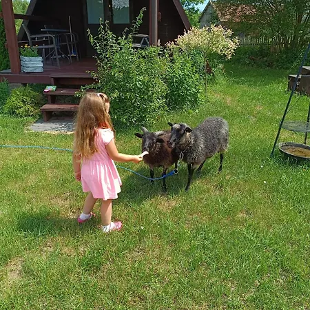 Na Mazurach Farmház *