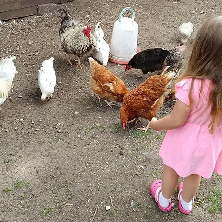 Na Mazurach Alojamento de Turismo Rural *