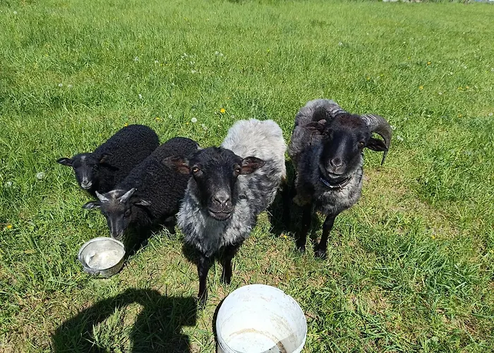 Alojamento de Turismo Rural Na Mazurach *
