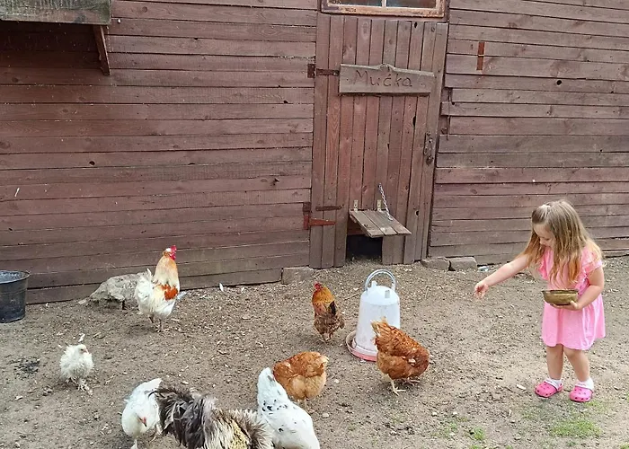 Alojamento de Turismo Rural Na Mazurach *