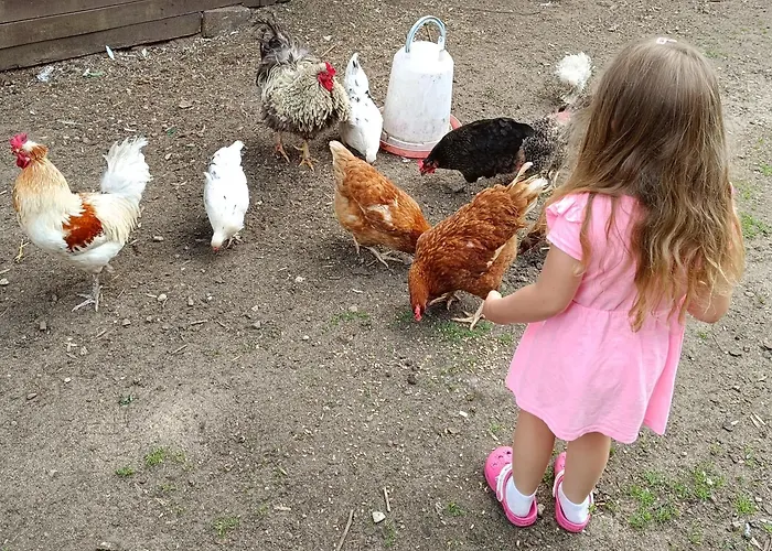 Na Mazurach Alojamento de Turismo Rural *